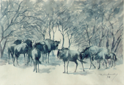 Bild Gnus im Busch von Uli Aschenborn